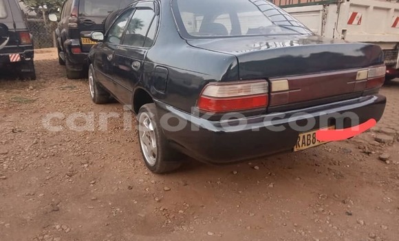 Acheter Occasion Voiture Toyota Corolla Vert à Kigali, Rwanda Acheter Occasion Voiture Toyota Corolla Vert à Kigali, Rwanda