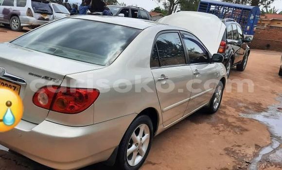 Acheter Occasion Voiture Toyota Corolla Gris à Kigali, Rwanda Acheter Occasion Voiture Toyota Corolla Gris à Kigali, Rwanda