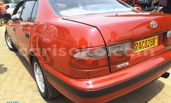 اشتري مستعمل Toyota Carina Rouge سيارة في Kigali في Rwanda اشتري مستعمل Toyota Carina Rouge سيارة في Kigali في Rwanda