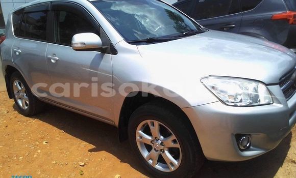 اشتري مستعمل Toyota RAV4 Gris سيارة في Kigali في Rwanda اشتري مستعمل Toyota RAV4 Gris سيارة في Kigali في Rwanda