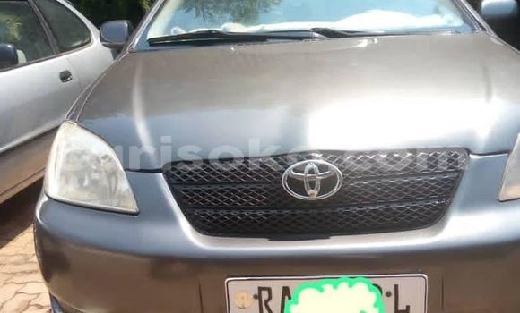 Buy Used Toyota Corolla Other Car in Kigali in Rwanda Buy Used Toyota Corolla Other Car in Kigali in Rwanda