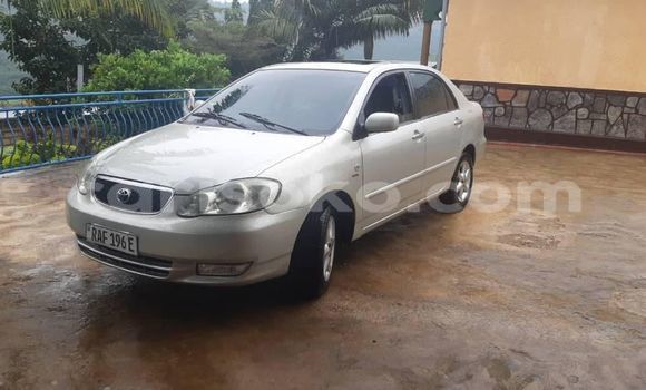 Buy Used Toyota Altis Silver Car in Kigali in Rwanda Buy Used Toyota Altis Silver Car in Kigali in Rwanda