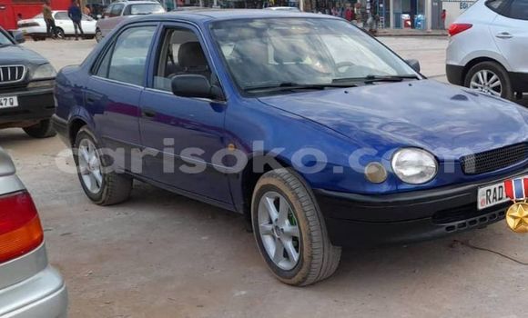 Buy Used Toyota Corolla Blue Car in Kigali in Rwanda Buy Used Toyota Corolla Blue Car in Kigali in Rwanda