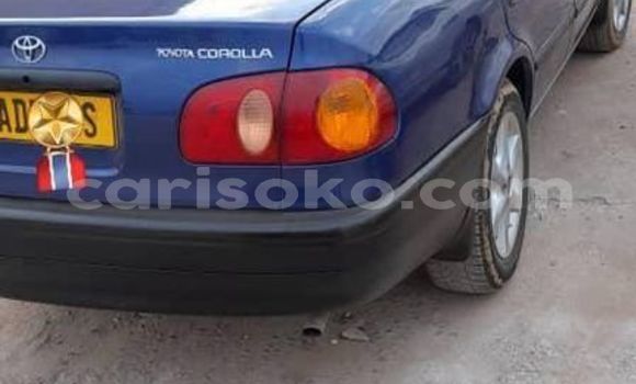 Buy Used Toyota Corolla Blue Car in Kigali in Rwanda Buy Used Toyota Corolla Blue Car in Kigali in Rwanda