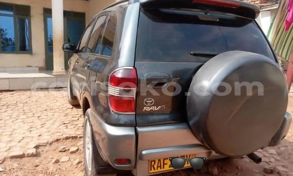 Buy Used Toyota RAV4 Black Car in Kigali in Rwanda Buy Used Toyota RAV4 Black Car in Kigali in Rwanda