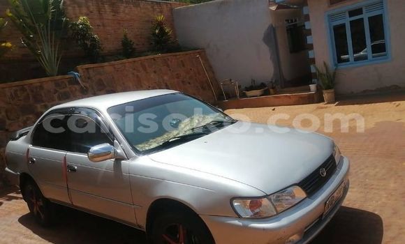 Buy Used Toyota Corolla Silver Car in Kigali in Rwanda Buy Used Toyota Corolla Silver Car in Kigali in Rwanda
