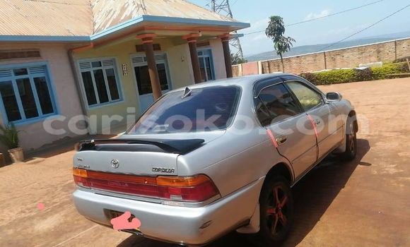 Buy Used Toyota Corolla Silver Car in Kigali in Rwanda Buy Used Toyota Corolla Silver Car in Kigali in Rwanda