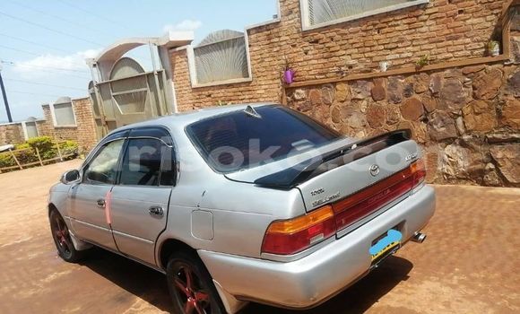 Buy Used Toyota Corolla Silver Car in Kigali in Rwanda Buy Used Toyota Corolla Silver Car in Kigali in Rwanda