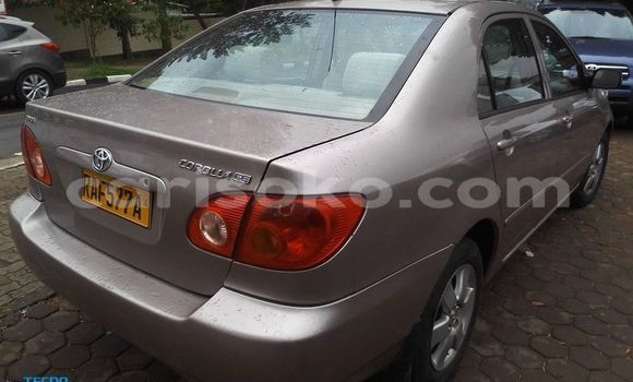 Buy Used Toyota Corolla Brown Car in Kigali in Rwanda Buy Used Toyota Corolla Brown Car in Kigali in Rwanda