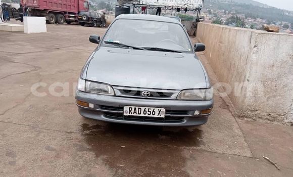 Buy Used Toyota Corolla Other Car in Kigali in Rwanda Buy Used Toyota Corolla Other Car in Kigali in Rwanda