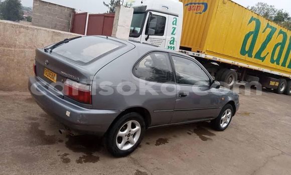 Buy Used Toyota Corolla Other Car in Kigali in Rwanda Buy Used Toyota Corolla Other Car in Kigali in Rwanda