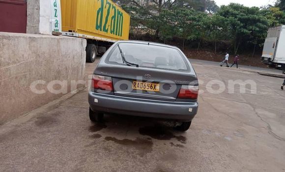 Buy Used Toyota Corolla Other Car in Kigali in Rwanda Buy Used Toyota Corolla Other Car in Kigali in Rwanda