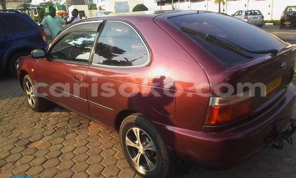 Buy Used Toyota Corolla Red Car in Kigali in Rwanda Buy Used Toyota Corolla Red Car in Kigali in Rwanda