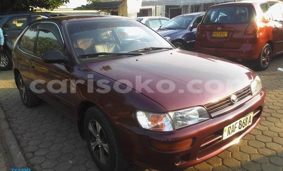 Buy Used Toyota Corolla Red Car in Kigali in Rwanda Buy Used Toyota Corolla Red Car in Kigali in Rwanda