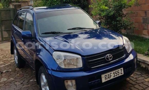 اشتري مستعمل Toyota RAV4 Bleu سيارة في Kigali في Rwanda اشتري مستعمل Toyota RAV4 Bleu سيارة في Kigali في Rwanda