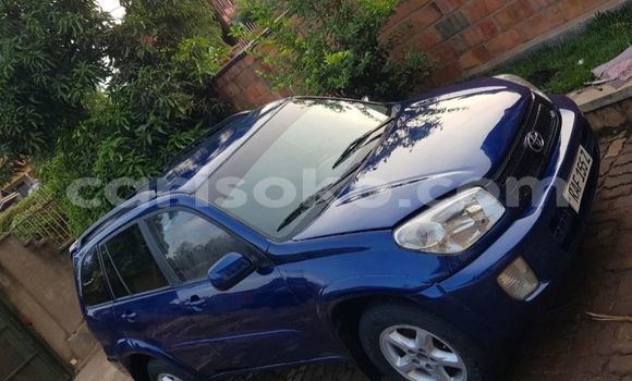 اشتري مستعمل Toyota RAV4 Bleu سيارة في Kigali في Rwanda اشتري مستعمل Toyota RAV4 Bleu سيارة في Kigali في Rwanda