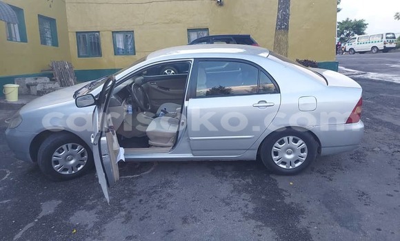 اشتري مستعمل Toyota Corolla Gris سيارة في Kigali في Rwanda اشتري مستعمل Toyota Corolla Gris سيارة في Kigali في Rwanda