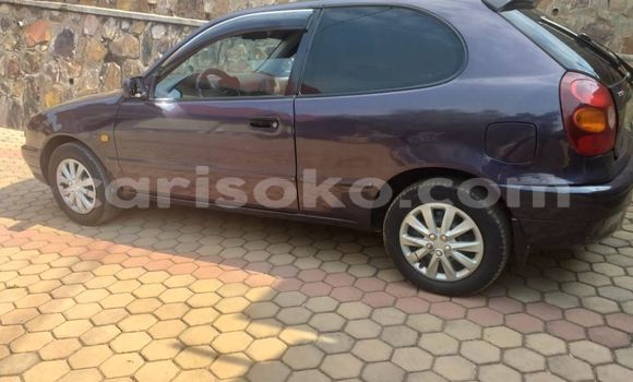 Buy Used Toyota Corolla Other Car in Kigali in Rwanda Buy Used Toyota Corolla Other Car in Kigali in Rwanda