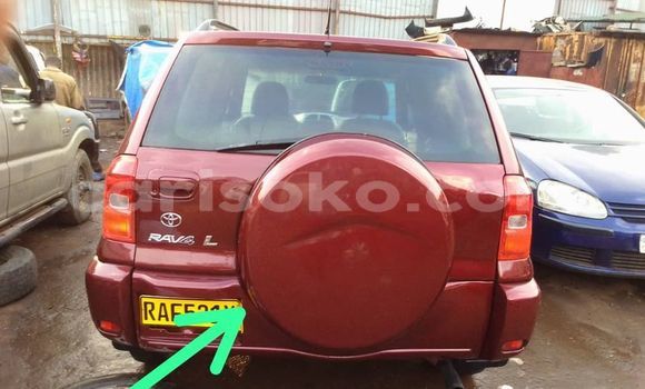 اشتري مستعمل Toyota RAV4 Rouge سيارة في Kigali في Rwanda اشتري مستعمل Toyota RAV4 Rouge سيارة في Kigali في Rwanda
