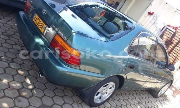 Buy Used Toyota Corolla Other Car in Kigali in Rwanda Buy Used Toyota Corolla Other Car in Kigali in Rwanda
