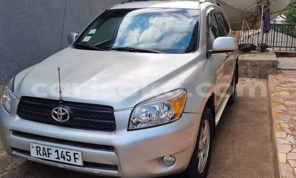 Buy Used Toyota RAV4 Silver Car in Kigali in Rwanda Buy Used Toyota RAV4 Silver Car in Kigali in Rwanda