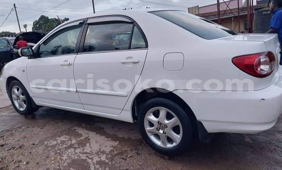 Buy Used Toyota Corolla White Car in Kigali in Rwanda Buy Used Toyota Corolla White Car in Kigali in Rwanda