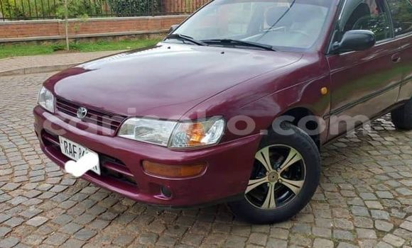 Buy Used Toyota Corolla Red Car in Kigali in Rwanda Buy Used Toyota Corolla Red Car in Kigali in Rwanda