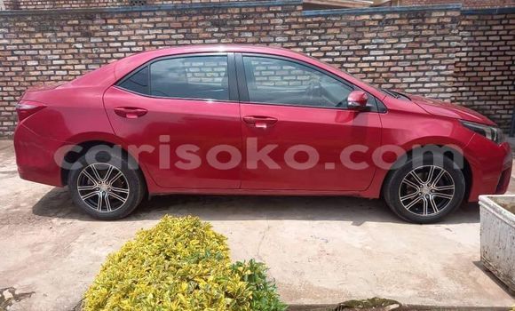 Buy Used Toyota Corolla Red Car in Kigali in Rwanda Buy Used Toyota Corolla Red Car in Kigali in Rwanda