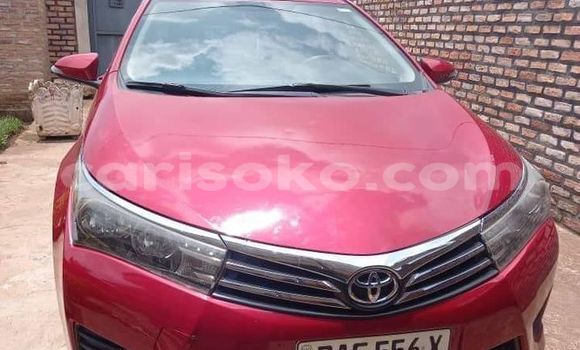 Buy Used Toyota Corolla Red Car in Kigali in Rwanda Buy Used Toyota Corolla Red Car in Kigali in Rwanda