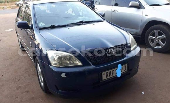 Buy Used Toyota Corolla Blue Car in Kigali in Rwanda Buy Used Toyota Corolla Blue Car in Kigali in Rwanda
