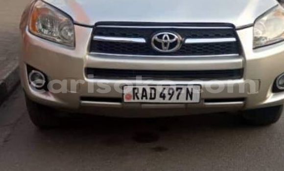 Buy Used Toyota RAV4 Beige Car in Kigali in Rwanda Buy Used Toyota RAV4 Beige Car in Kigali in Rwanda