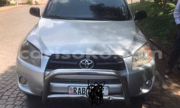 Buy Used Toyota RAV4 Silver Car in Kigali in Rwanda Buy Used Toyota RAV4 Silver Car in Kigali in Rwanda