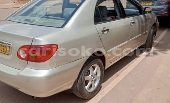 Buy Used Toyota Altis Silver Car in Kigali in Rwanda Buy Used Toyota Altis Silver Car in Kigali in Rwanda