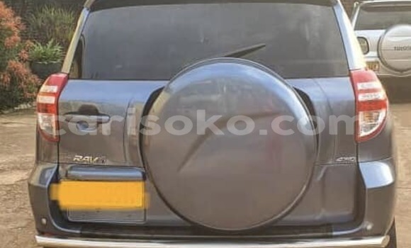 Buy Used Toyota RAV4 Blue Car in Kigali in Rwanda Buy Used Toyota RAV4 Blue Car in Kigali in Rwanda