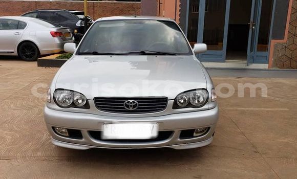 Buy Used Toyota Corolla Silver Car in Kigali in Rwanda Buy Used Toyota Corolla Silver Car in Kigali in Rwanda
