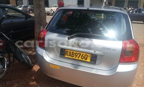 Acheter Occasion Voiture Toyota Corolla Gris à Kigali, Rwanda Acheter Occasion Voiture Toyota Corolla Gris à Kigali, Rwanda