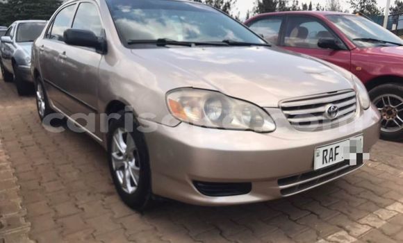 Acheter Occasion Voiture Toyota Corolla Marron à Kigali, Rwanda Acheter Occasion Voiture Toyota Corolla Marron à Kigali, Rwanda