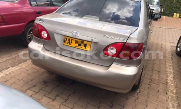 Acheter Occasion Voiture Toyota Corolla Marron à Kigali, Rwanda Acheter Occasion Voiture Toyota Corolla Marron à Kigali, Rwanda