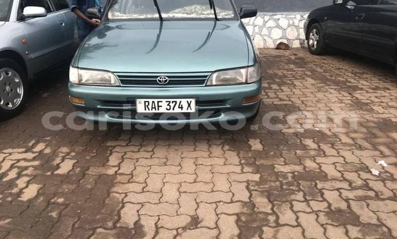 اشتري مستعمل Toyota Corolla Vert سيارة في Kigali في Rwanda اشتري مستعمل Toyota Corolla Vert سيارة في Kigali في Rwanda