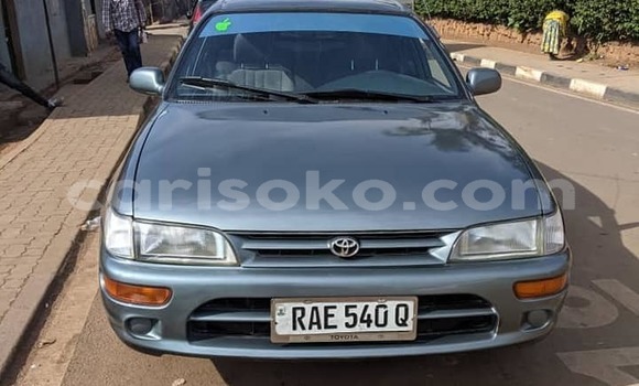 Buy Used Toyota Corolla Other Car in Kigali in Rwanda Buy Used Toyota Corolla Other Car in Kigali in Rwanda