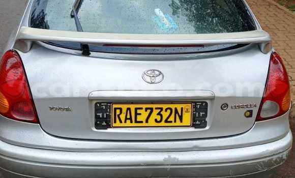 Acheter Occasion Voiture Toyota Corolla Gris à Kigali, Rwanda Acheter Occasion Voiture Toyota Corolla Gris à Kigali, Rwanda