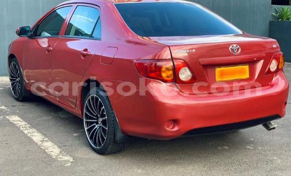 Acheter Occasion Voiture Toyota Corolla Rouge à Kigali, Rwanda Acheter Occasion Voiture Toyota Corolla Rouge à Kigali, Rwanda