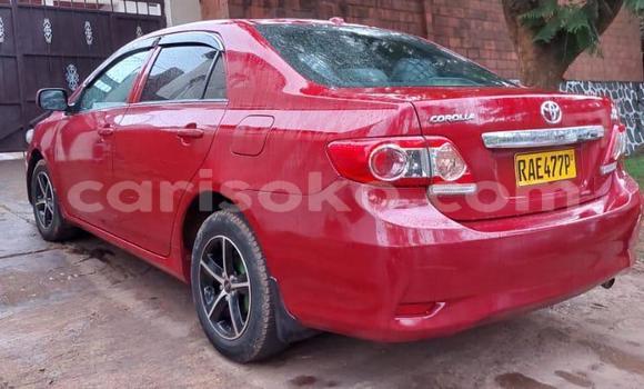 Acheter Occasion Voiture Toyota Corolla Rouge à Kigali, Rwanda Acheter Occasion Voiture Toyota Corolla Rouge à Kigali, Rwanda