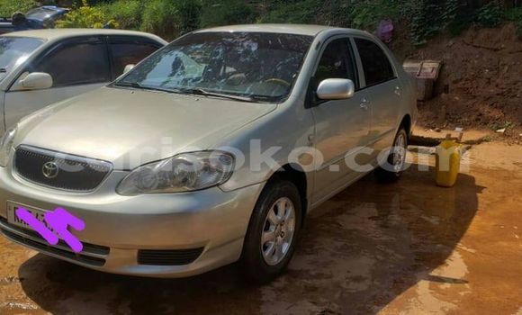 Acheter Occasion Voiture Toyota Corolla Marron à Kigali, Rwanda Acheter Occasion Voiture Toyota Corolla Marron à Kigali, Rwanda