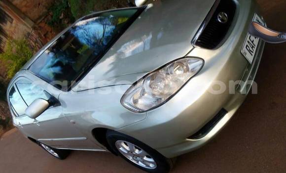 Acheter Occasion Voiture Toyota Corolla Marron à Kigali, Rwanda Acheter Occasion Voiture Toyota Corolla Marron à Kigali, Rwanda