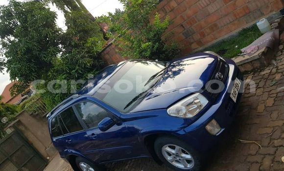 اشتري مستعمل Toyota RAV4 Bleu سيارة في Kigali في Rwanda اشتري مستعمل Toyota RAV4 Bleu سيارة في Kigali في Rwanda