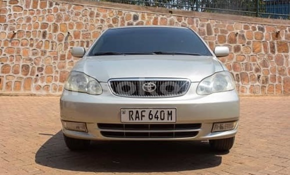 Buy Used Toyota Corolla Silver Car in Kigali in Rwanda Buy Used Toyota Corolla Silver Car in Kigali in Rwanda