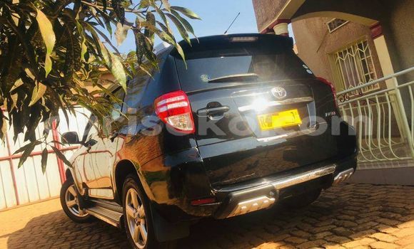 اشتري مستعمل Toyota RAV4 Noir سيارة في Kigali في Rwanda اشتري مستعمل Toyota RAV4 Noir سيارة في Kigali في Rwanda