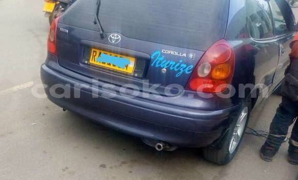 Acheter Occasion Voiture Toyota Corolla Bleu à Kigali, Rwanda Acheter Occasion Voiture Toyota Corolla Bleu à Kigali, Rwanda
