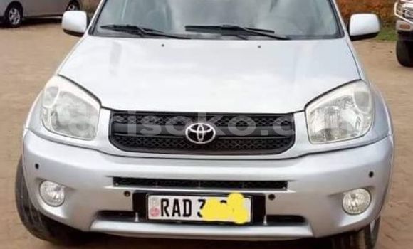 اشتري مستعمل Toyota RAV4 Gris سيارة في Kigali في Rwanda اشتري مستعمل Toyota RAV4 Gris سيارة في Kigali في Rwanda